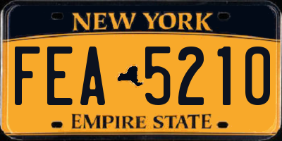 NY license plate FEA5210