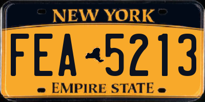 NY license plate FEA5213