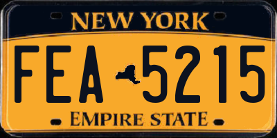 NY license plate FEA5215