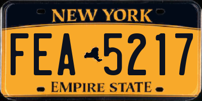 NY license plate FEA5217