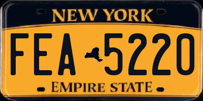 NY license plate FEA5220