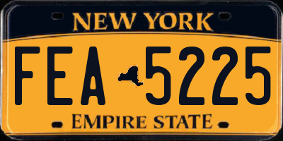 NY license plate FEA5225