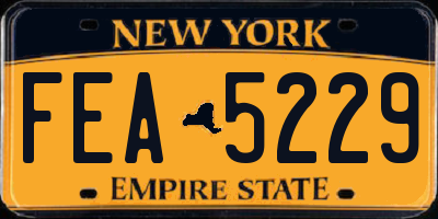 NY license plate FEA5229