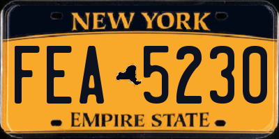 NY license plate FEA5230