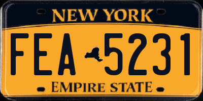 NY license plate FEA5231