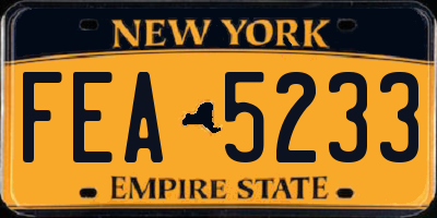 NY license plate FEA5233