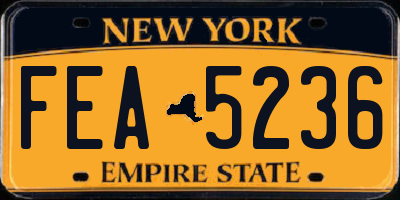 NY license plate FEA5236