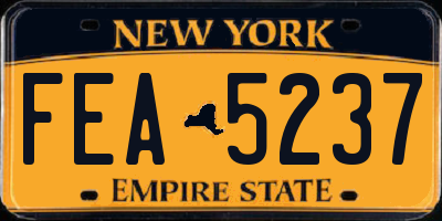 NY license plate FEA5237