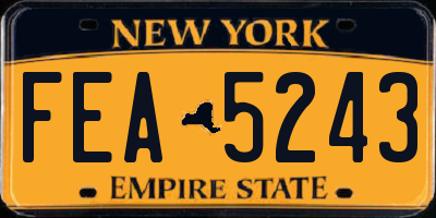 NY license plate FEA5243