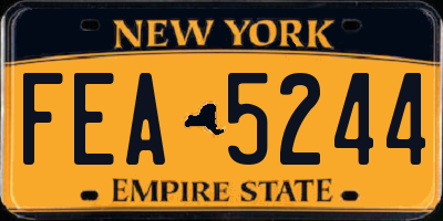 NY license plate FEA5244
