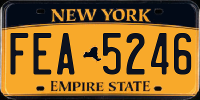 NY license plate FEA5246
