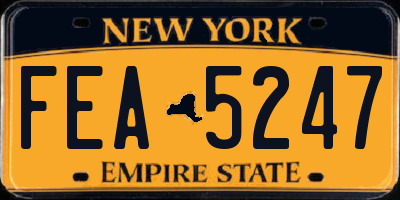 NY license plate FEA5247