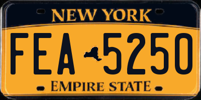 NY license plate FEA5250