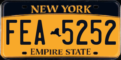 NY license plate FEA5252
