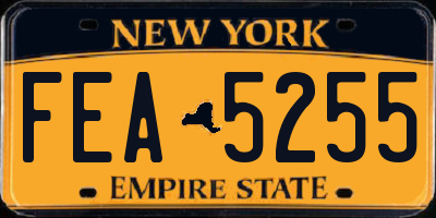 NY license plate FEA5255