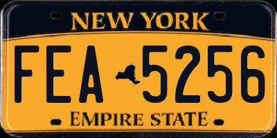 NY license plate FEA5256