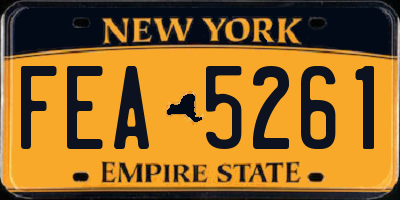 NY license plate FEA5261