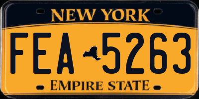NY license plate FEA5263