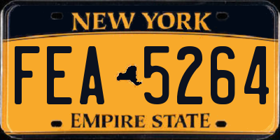 NY license plate FEA5264