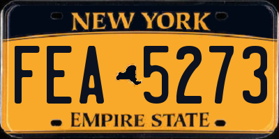 NY license plate FEA5273