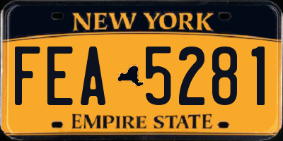 NY license plate FEA5281