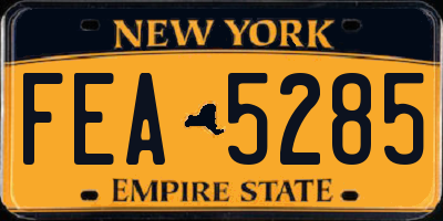 NY license plate FEA5285