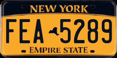 NY license plate FEA5289