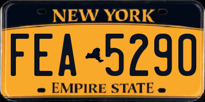 NY license plate FEA5290