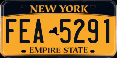 NY license plate FEA5291