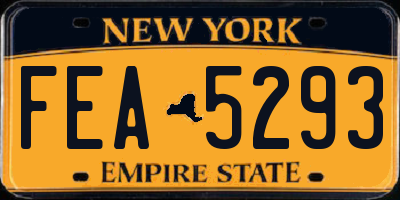 NY license plate FEA5293