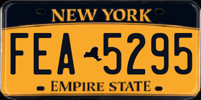 NY license plate FEA5295