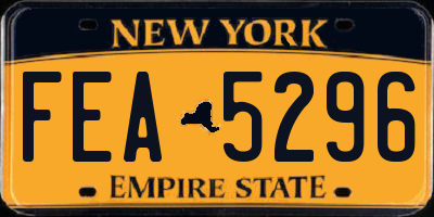 NY license plate FEA5296