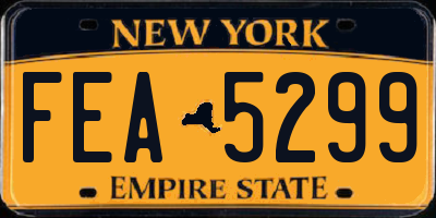 NY license plate FEA5299