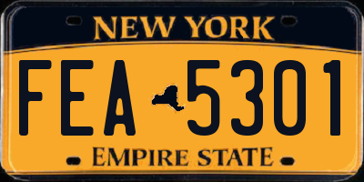 NY license plate FEA5301