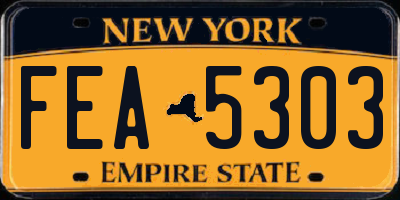 NY license plate FEA5303