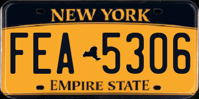 NY license plate FEA5306