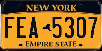 NY license plate FEA5307