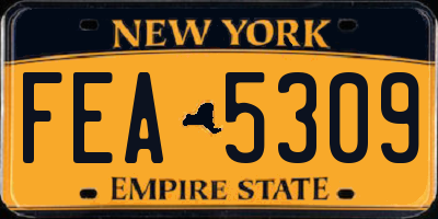 NY license plate FEA5309