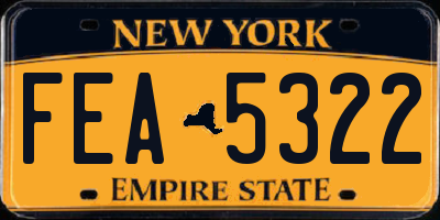 NY license plate FEA5322