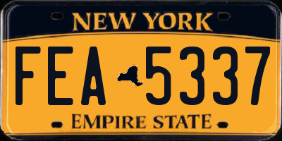 NY license plate FEA5337