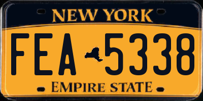 NY license plate FEA5338