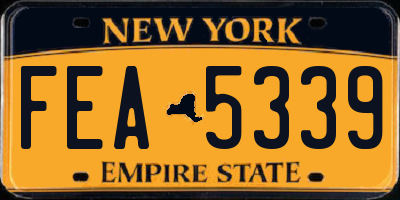 NY license plate FEA5339