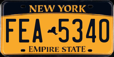 NY license plate FEA5340