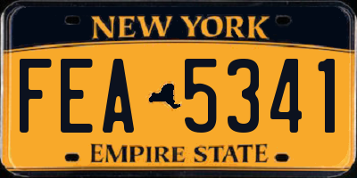 NY license plate FEA5341
