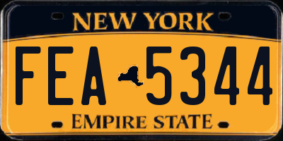 NY license plate FEA5344