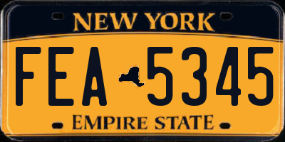 NY license plate FEA5345