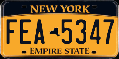 NY license plate FEA5347