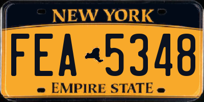NY license plate FEA5348
