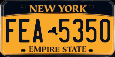NY license plate FEA5350