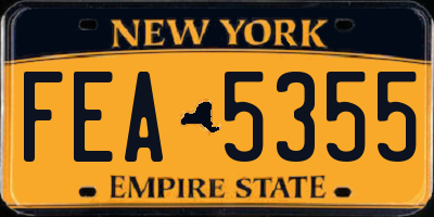 NY license plate FEA5355